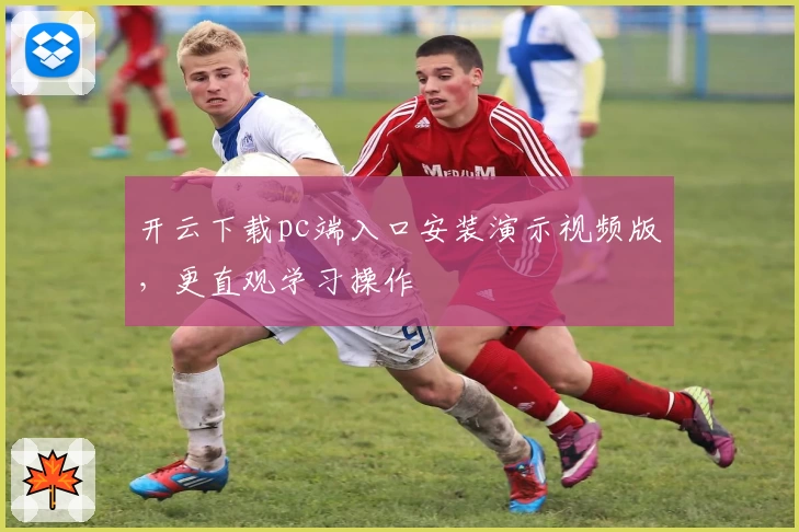 开云下载pc端入口安装演示视频版，更直观学习操作