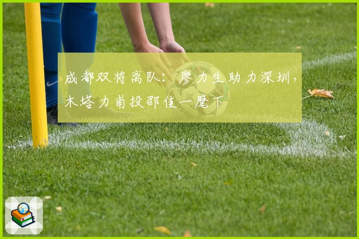 成都双将离队:廖力生助力深圳,木塔力甫投邵佳一麾下