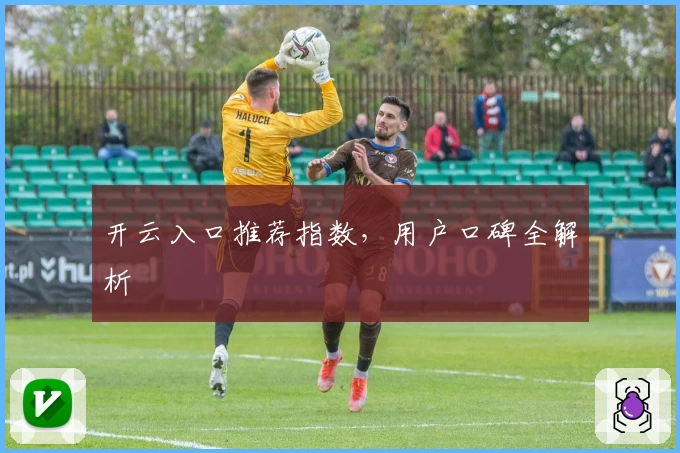 开云入口推荐指数，用户口碑全解析
