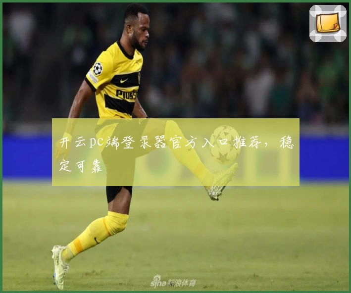 开云pc端登录器官方入口推荐,稳定可靠