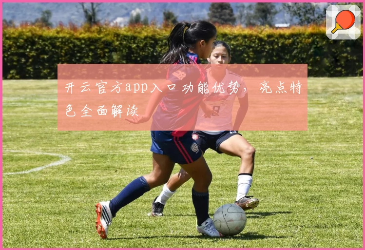 开云官方app入口功能优势，亮点特色全面解读