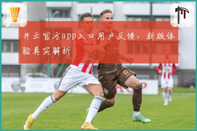 开云官方app入口用户反馈，新版体验真实解析